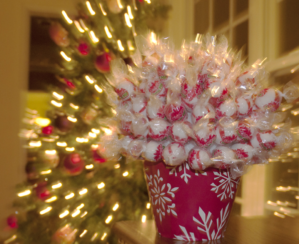 The Christmas Candy Flower Pot from www.hannahandharley.com